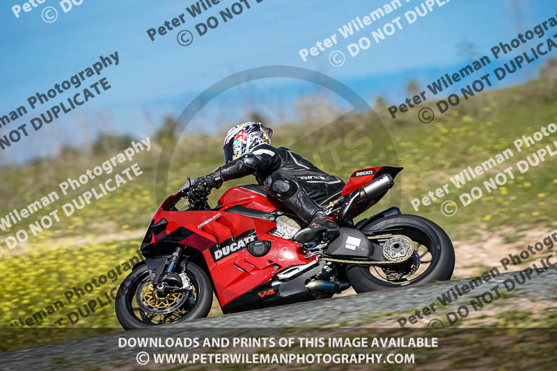 cadwell no limits trackday;cadwell park;cadwell park photographs;cadwell trackday photographs;enduro digital images;event digital images;eventdigitalimages;no limits trackdays;peter wileman photography;racing digital images;snetterton;snetterton no limits trackday;snetterton photographs;snetterton trackday photographs;trackday digital images;trackday photos